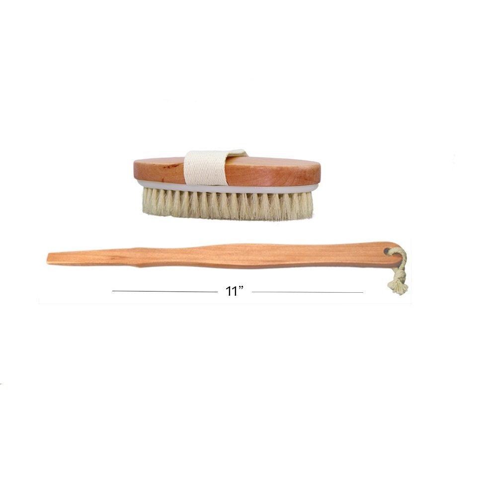 Dry Skin Body Brush 16"- Natural Bristle - For Dry Brushing - Detachable Handle -Removes Dead Skin & Toxins, Helps Cellulite, Lymphatic Functions