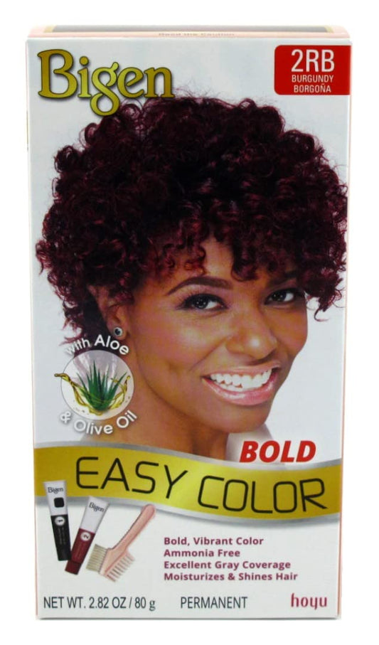Bigen Easy Color #2rb Burgundy Kit, 1 Ea, 1count