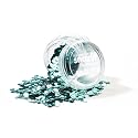 Snazaroo Chunky Bio Glitter, 5g (.17-oz) Tub, Turquoise