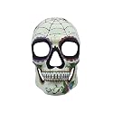 Kbw Men's Day of The Dead Full face Mask