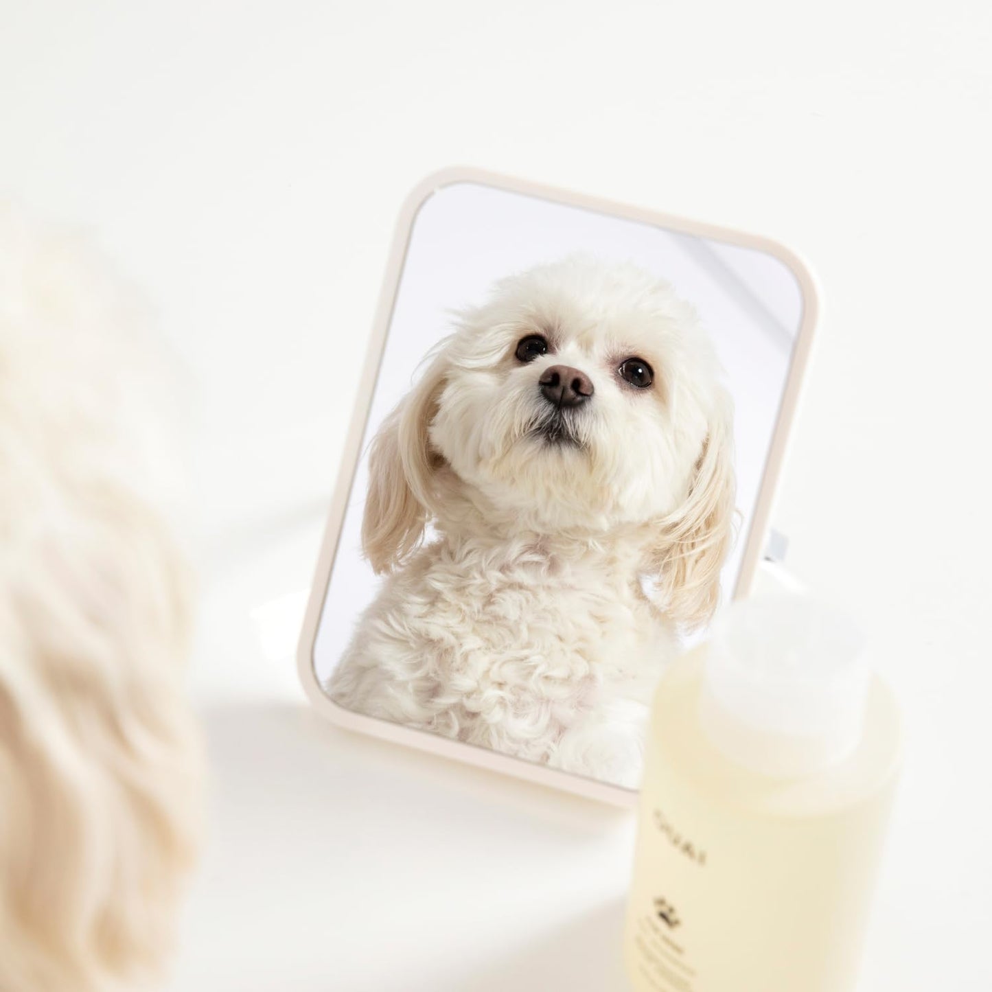 OUAI Fur Bébé Pet Shampoo Mercer Street Scent - Hydrating, Cleansing Dog Shampoo & Coat Wash for Shine - Pet Supplies by OUAI, 16 Fl Oz