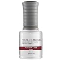 LeChat Perfect Match Gel Polish, Cabana Cove, 0.5 Ounce (PMS180) Beauty & Personal Care LECHAT