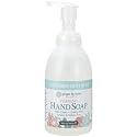 Ginger Lily Farms Botanicals All-Purpose Foaming Hand Soap Refill, 100% Vegan & Cruelty-Free, Cucumber Mint Bliss Scent, 20 Fl Oz (Pack of 1)