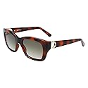 Ferragamo Women's Sf1012s 53Mm Sunglasses, Brown