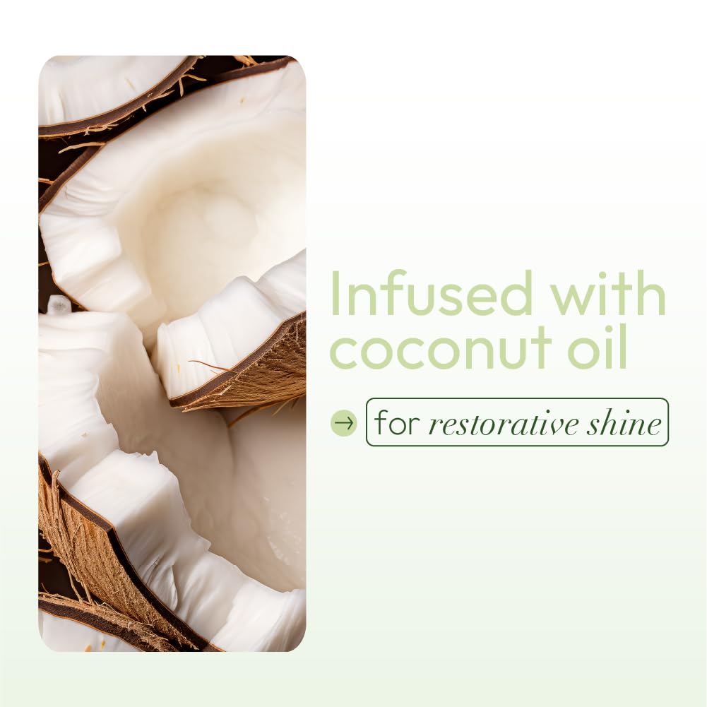 ORS Olive Oil Nourishing Sheen Spray Infused with Coconut for Restorative Shine Alcohol Free 2 Ounce (Pack of 3)