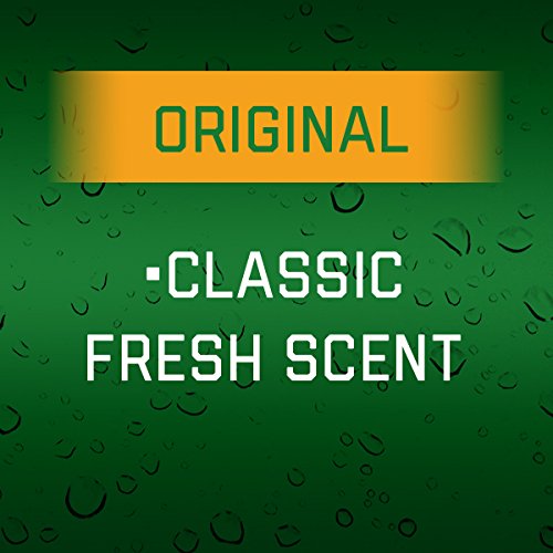Irish Spring Body Wash, Original, 18 Fl Oz (Pack of 1)