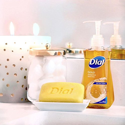 Dial Antibacterial Liquid Hand Soap, Gold, 9.375 Fluid Ounce (Pack of 4)