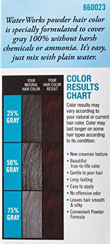 Water Works Water Activated Permanent Powder Hair Color for Men and Women, #23 Natural Dark Brown