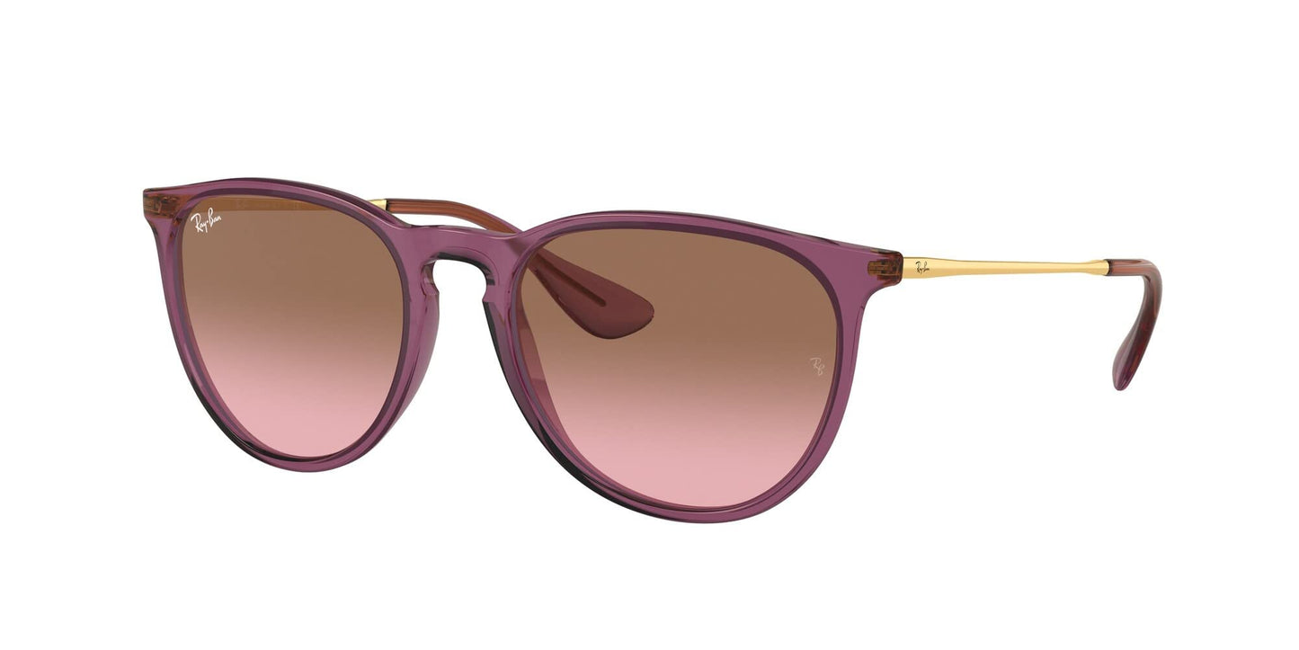 Ray-Ban RB4171 Sunglasses Bundle: RB 4171 ERIKA 659114 Erika Transparent Violet Pink and Universal Anti-slip Silicone Leash