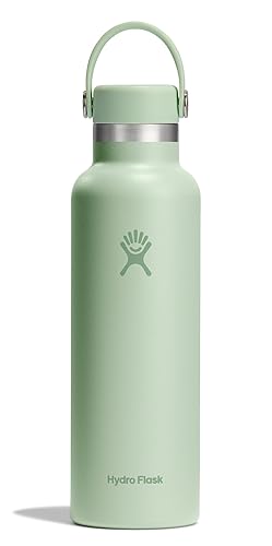 Hydro Flask Water Bottle - Insulated Stainless Steel - Non Spill, Leakproof in 21 Oz Aloe Green
