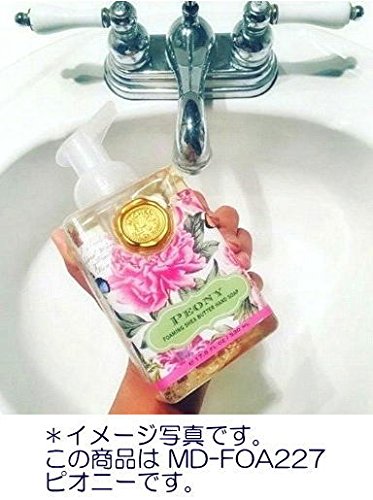 Michel Design Works Scented Foaming Hand Soap, Ho Ho Ho Beauty & Personal Care Michel Design Works