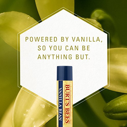 Burt's Bees Moisturizing Lip Balm, Vanilla Bean, 0.15 Ounce