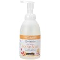 Ginger Lily Farms Botanicals All-Purpose Foaming Hand Soap Refill, Coco Mango, 100% Vegan & Cruelty-Free, Coconut Mango Scent, 20 Fl Oz (Pack of 1)