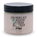 Primal Elements Hyaluronic Acid Gel Cream Moisturizer, 6 Ounce