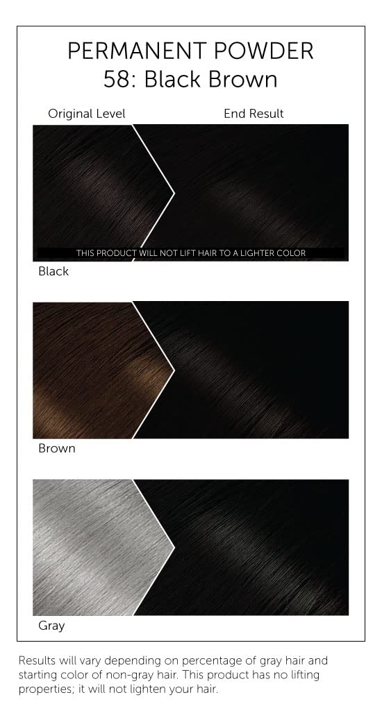 #58 Black Brown Bigen Permanent Powder - 12 Pack