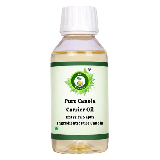 R V Essential Pure Canola Carrier Oil 100ml (3.38oz)- Brassica Napus (100% Pure and Natural Cold Pressed) Beauty and Personal Care R V Essential