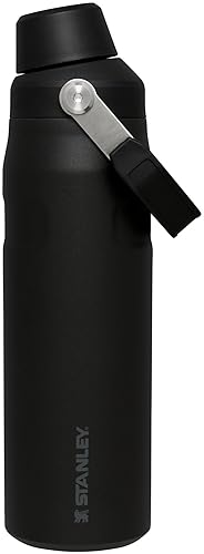 Stanley IceFlow Fast Flow Water Bottle 24 oz | Angled Spout Lid | Lightweight and Leakproof for Travel and Sports | Insulated Stainless Steel