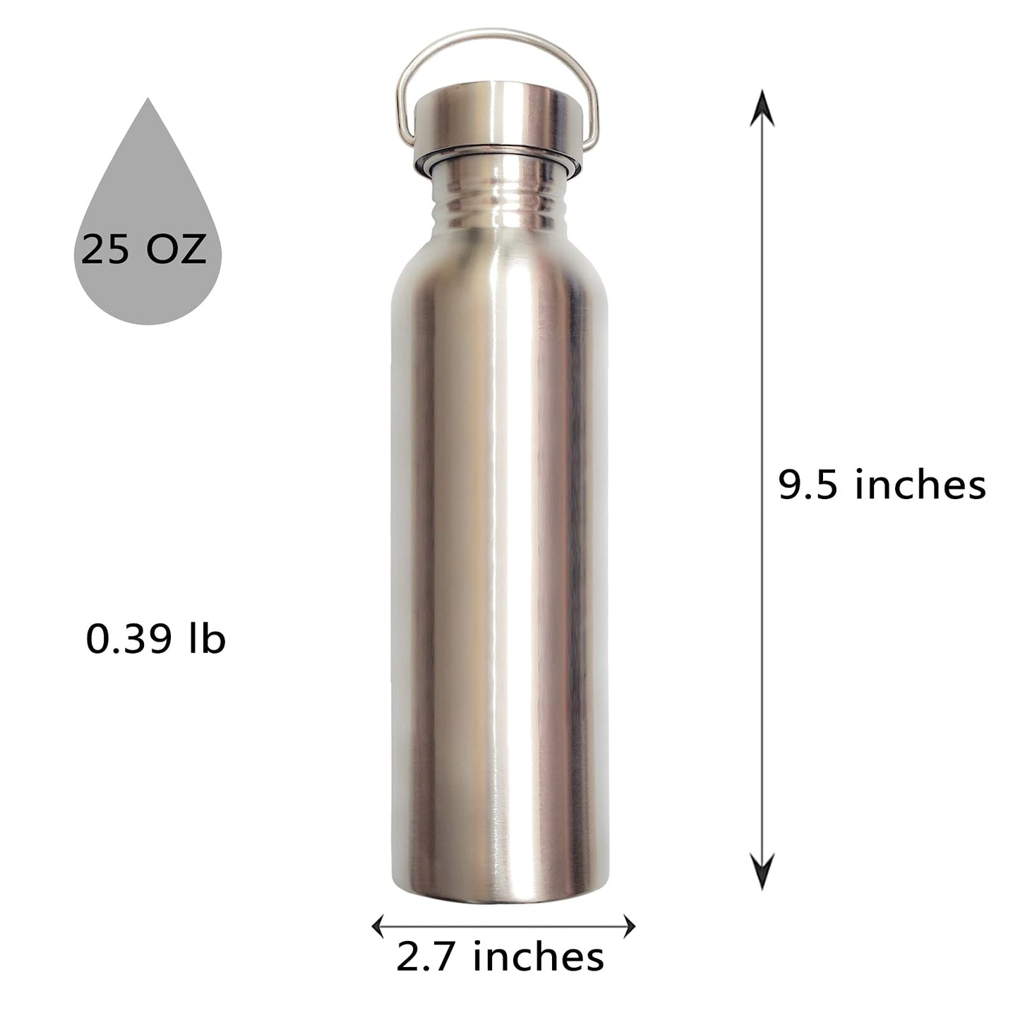 Stainless Steel Water Bottle, Uninsulated Leak Proof Sports Bottle, Wide Opening, with Carrying Loop, Silver 25 oz
