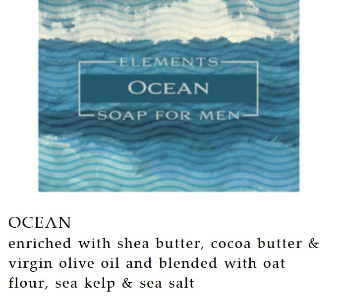 Greenwich Bay Trading Co. Elements Ocean Soap for Men, 8.6 oz Bars, Set of 2