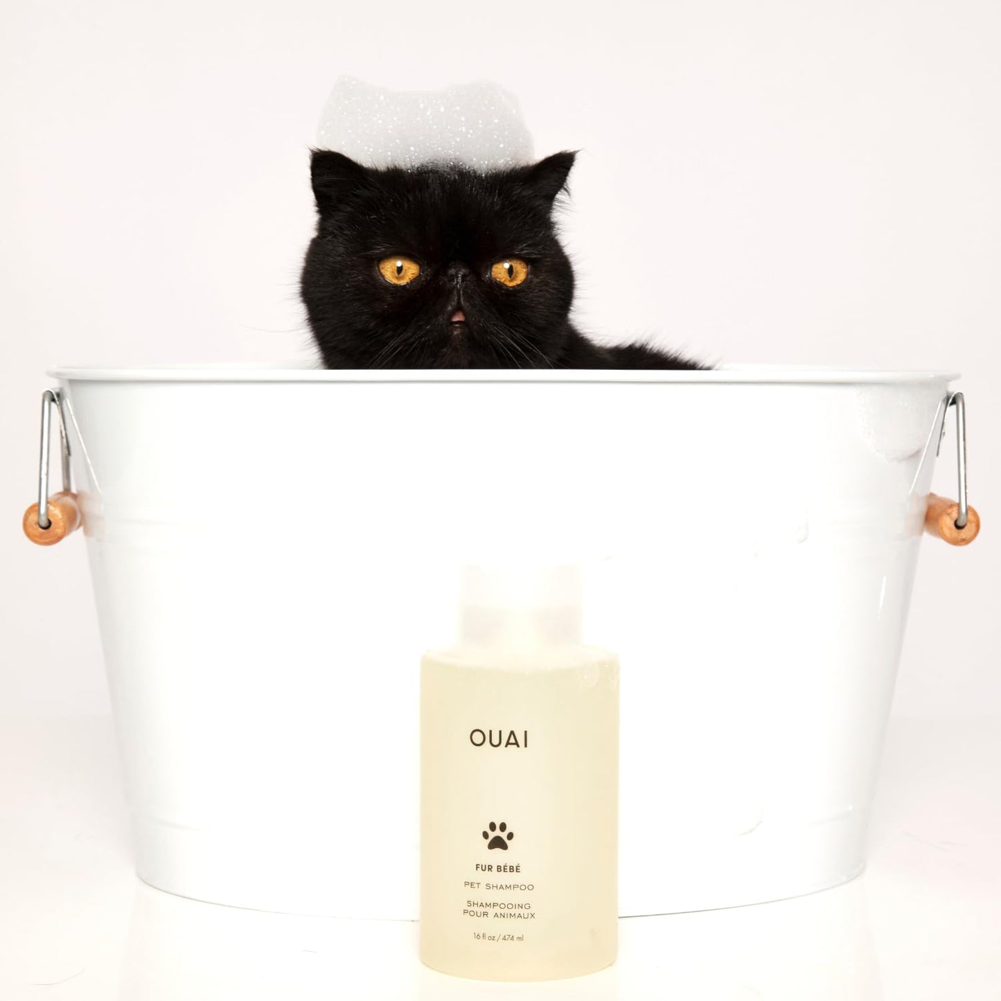 OUAI Fur Bébé Pet Shampoo Mercer Street Scent - Hydrating, Cleansing Dog Shampoo & Coat Wash for Shine - Pet Supplies by OUAI, 16 Fl Oz
