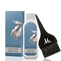 Blondor Pale Silver /81 Liquid Permanent Blondor Toner 2 Fl Oz and M Hair Designs Tint Brush (Bundle)
