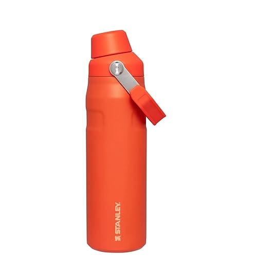 STANLEY IceFlow™ Bottle with Fast Flow Lid | 24 OZ, Tigerlily