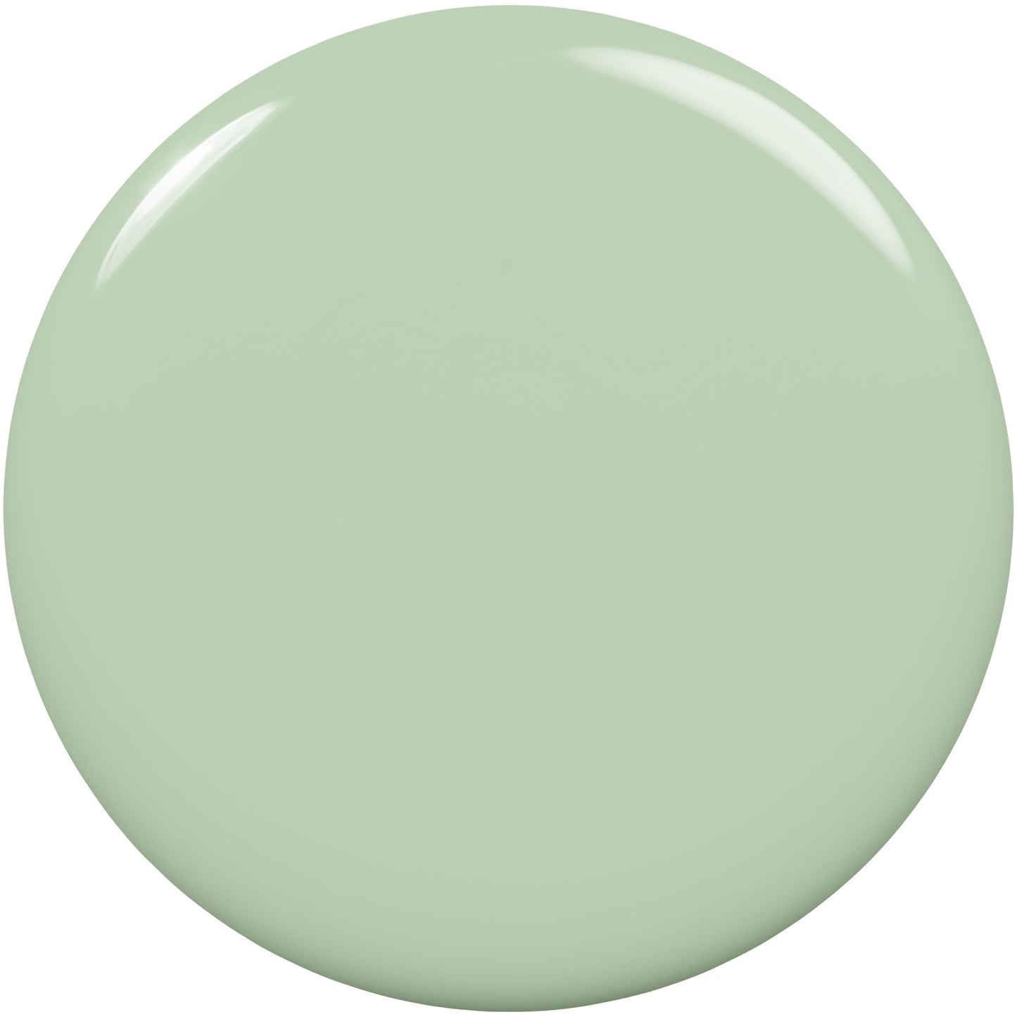Essie Salon-Quality Nail Polish, 8-Free Vegan, Muted Green, Turquoise And Caicos, 0.46 fl oz Beauty & Personal Care essie