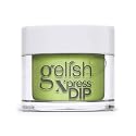 Gelish Feel the Vibes Collection Xpress Dip N Brush Powder Nail Manicure - Into The Lime-Light, 1.5 oz Beauty & Personal Care Gelish