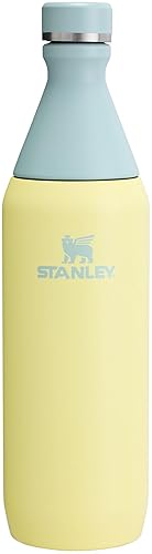 Stanley All Day Slim Bottle 20 oz | Twist On Lid with Leakproof Seal | Slim Design for Travel & Gym | Insulated Stainless Steel | BPA-Free | Pomelo