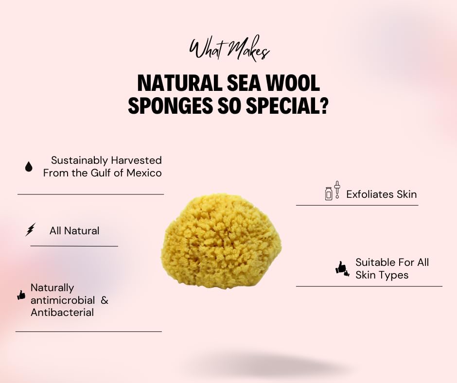Natural Sea Wool Sponge Bath & Shower Express 4-5" (Small) Authentic Renewable Resource for Women & Men Esponja for Exfoliating and Washing Body