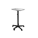 Chromatique Professional Silver Service Tray for Salon Chemical Hair Coloring (Model:T011)