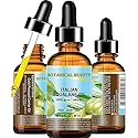 Botanical Beauty SQUALANE Italian Olive 100% Pure Natural Undiluted Oil 100% Ultra-Pure Moisturizer for Face, Skin, Body, Hair. Reliable 24/7 Skincare