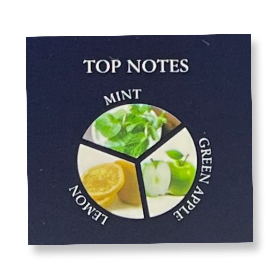 United Scents WARRIOR BLUE pour homme Eau de Parfum - 3.4 Fl Oz Fragrance for Men - Top Notes: Mint, Green Apple and Lemon