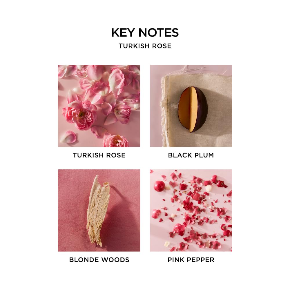 NEST New York Perfume Oil Discovery Set - Includes Balinese Coconut, Turkish Rose, Seville Orange, Indian Jasmine & Madagascar Vanilla - Vegan
