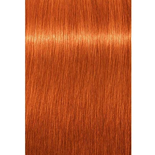 Schwarzkopf Professional Igora Royal Permanent Hair Color, 8-77, Light Blonde Copper, 60 Gram Beauty and Personal Care Schwarzkopf