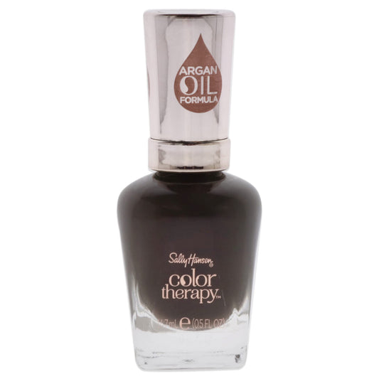 Sally Hansen Color Therapy Nail Polish, Haute Stone, 0.5 Fluid Ounce Beauty & Personal Care Sally Hansen