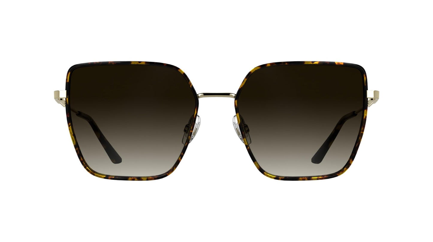 Calvin Klein Women's Sunglasses CK25111S - Havana with Gradient Brown Lens