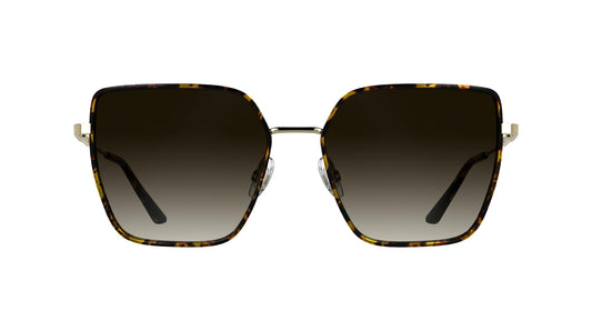 Calvin Klein Women's Sunglasses CK25111S - Havana with Gradient Brown Lens