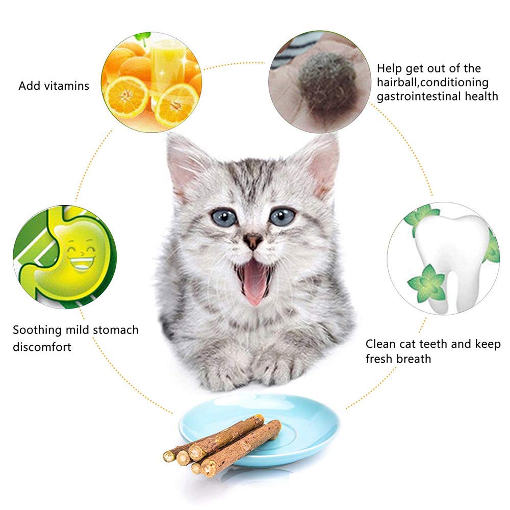 WoLover Silvervine Sticks for Cats, Natural Catnip Matatabi Chew Sticks Teeth Molar Chew Toys for Cat Kitten Kitty (at Least 12 PCS)
