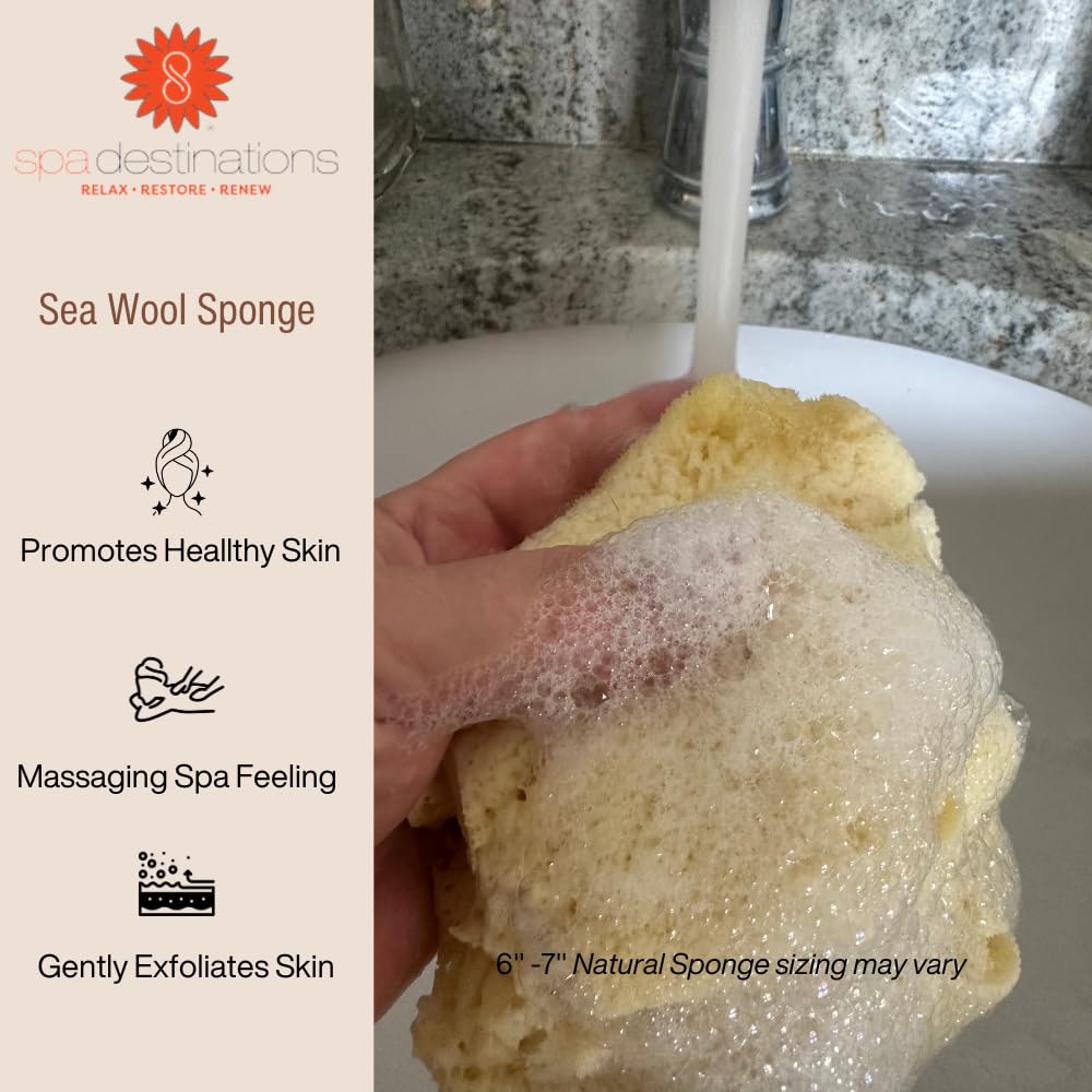 Spa Destinations Natural Sea Wool Sponge 6-7" Natural Renewable Resource Beauty and Personal Care Spa Destinations
