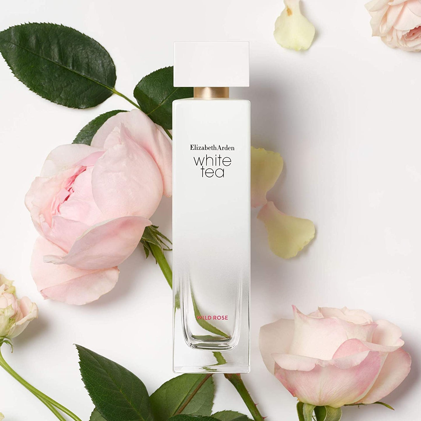 Elizabeth Arden White Tea Wild Rose Eau De Toilette Spray, Perfume for Women, 1.7 fl oz