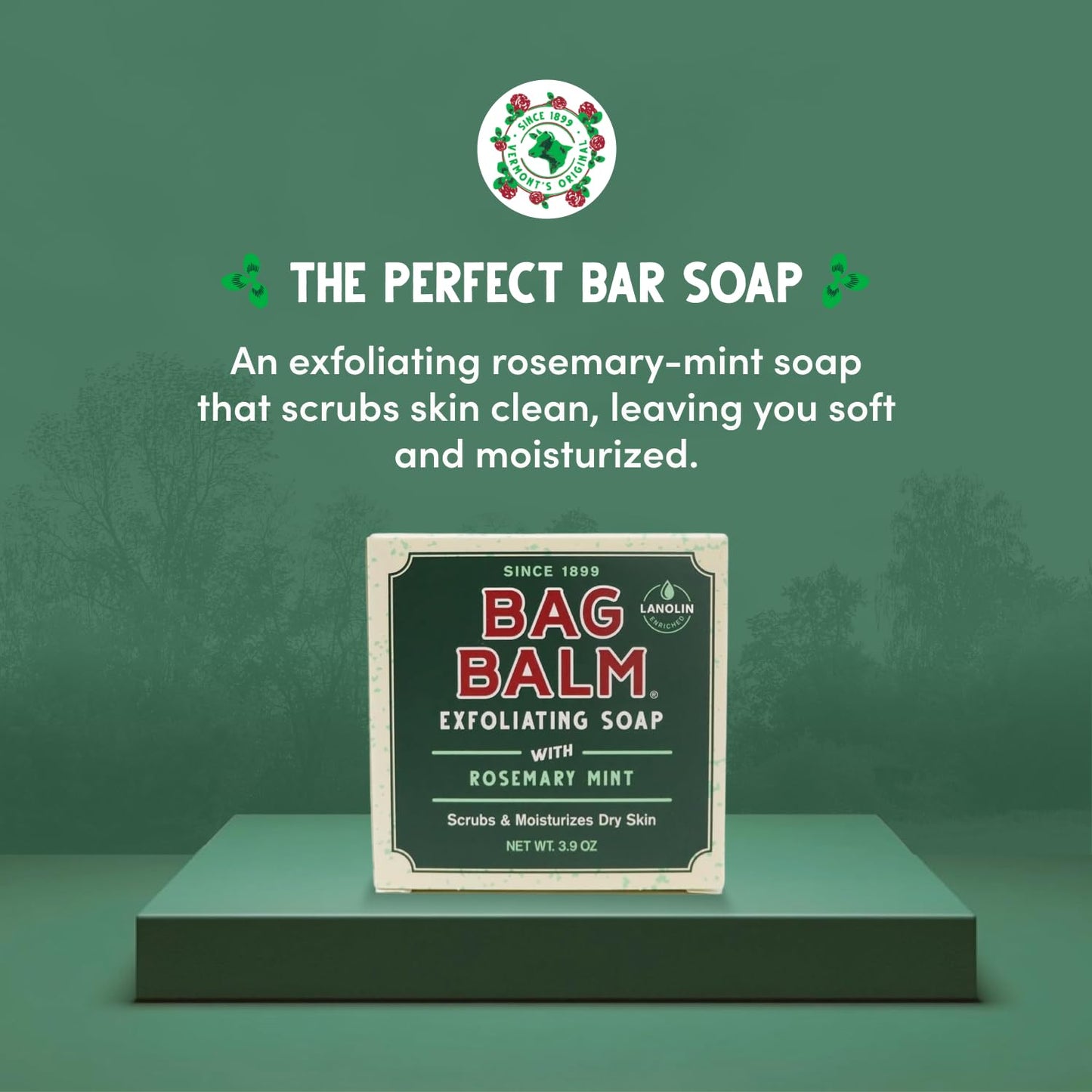 Bag Balm Vermont's Original Exfoliating Soap Bar, Body Soap Bars, Hand Soap Bar - Soap for Dry Skin - Rosemary Mint Scented Bars of Soap, Body Soap