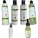 Rosemary & Mint Hair & Scalp Bundle | Strengthening Shampoo, Conditioner, Leave-In Conditioner, Leave-In Mist Spray, Oil Serum & Styling Gellie