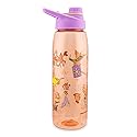 Silver Buffalo Disney Princess Icons Water Bottle With Screw-On Lid, 28 Ounces