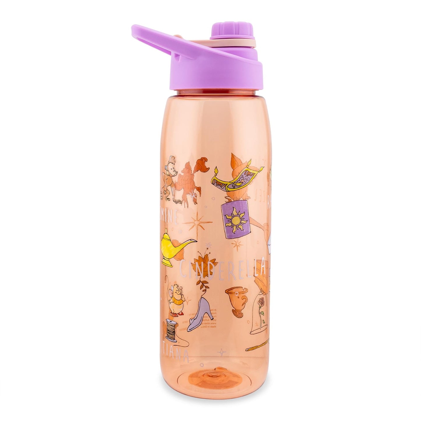 Silver Buffalo Disney Princess Icons Water Bottle With Screw-On Lid, 28 Ounces