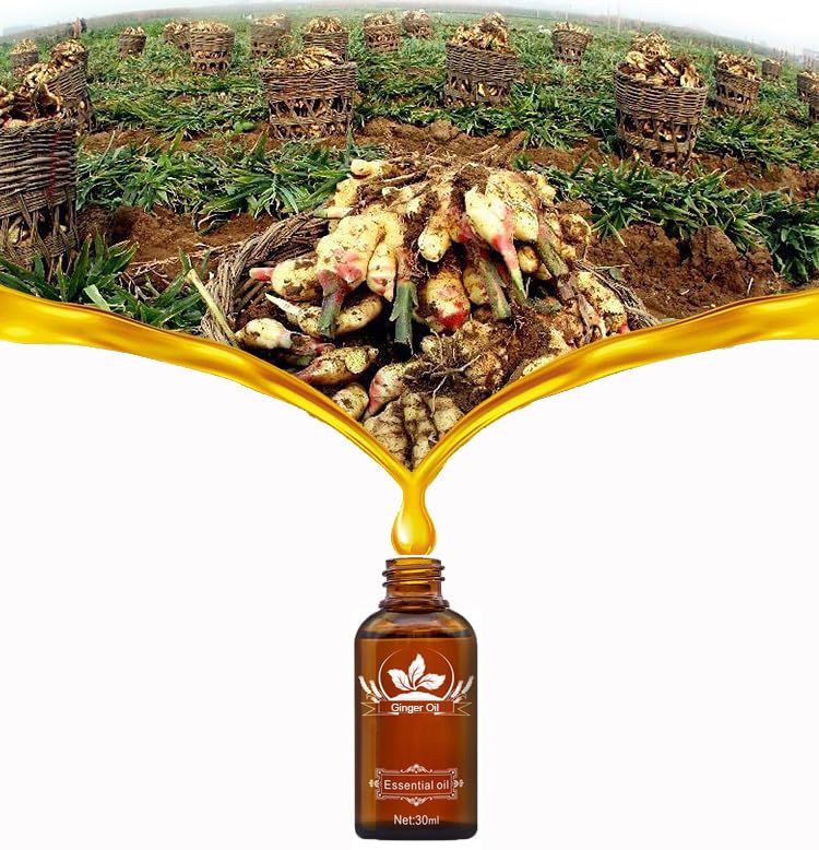 2 Pack Ginger Oil for Lymphatic Drainage, Vamotto Ginger Essential Oil for Swelling and Pain Skin Body Massage, Ginger Massage Oil Essential, SPA