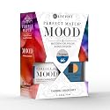 LeChat Perfect Match Mood Duo Set - Champagne Sky PMMDS66 Beauty & Personal Care LECHAT