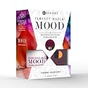 LeChat Perfect Match Mood Duo Set - Groovy Heat Wave Beauty & Personal Care LECHAT