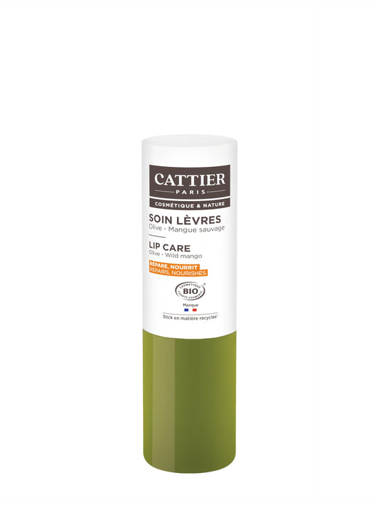 Cattier 100% Organic Lip Balm with Olives & Wild Mangoes 4 Gr Beauty and Personal Care CATTIER PARIS