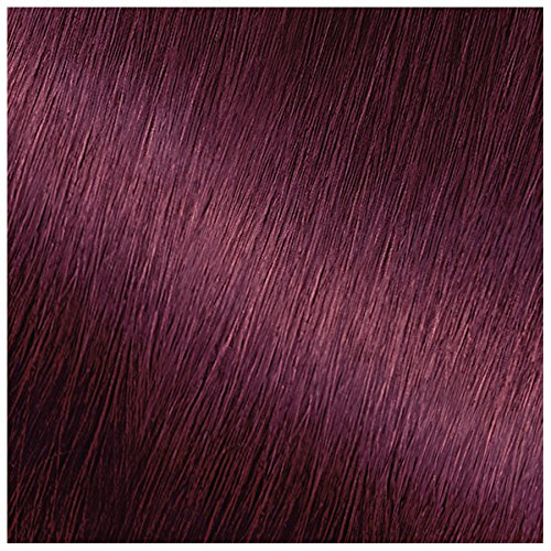 Garnier Nutrisse Nourishing Hair Color Creme, 362 Darkest Berry Burgundy (Packaging May Vary)